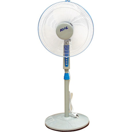 Fan Standing