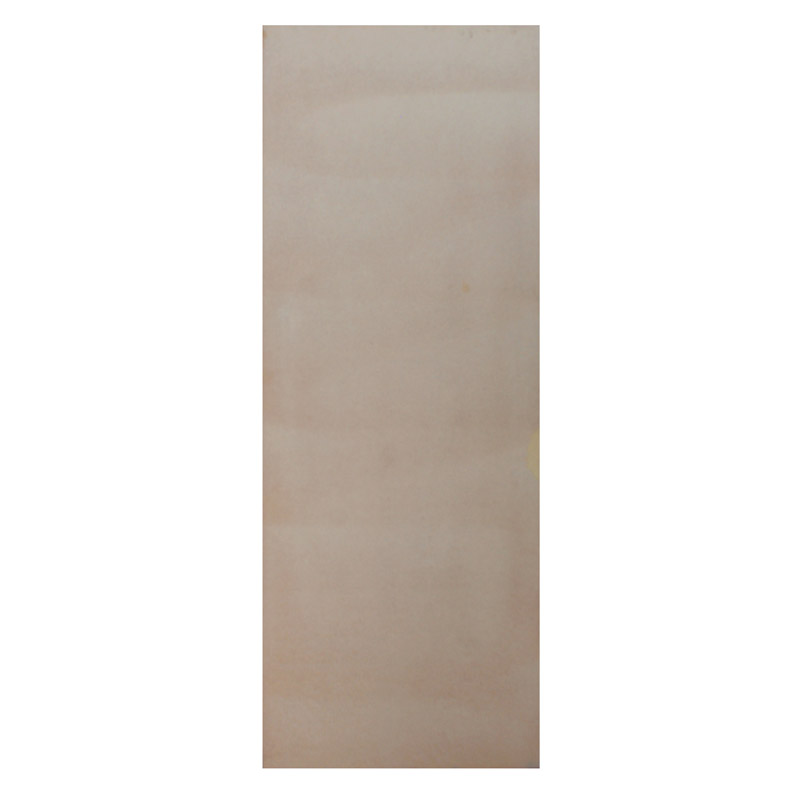 Hollow Core Door